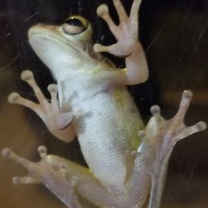 Meet your Posher, Martin